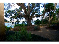 15 Trading Post Trail thumbnail image 9