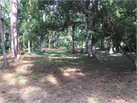 319 Spring Island Drive thumbnail image 9
