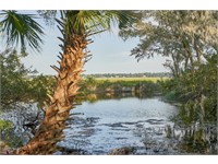 192 Spring Island Drive thumbnail image 2