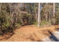 132 Spring Island Drive thumbnail image 2
