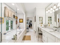 248 Spring Island Drive thumbnail image 16