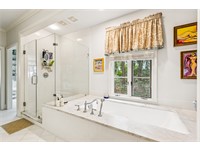 248 Spring Island Drive thumbnail image 17