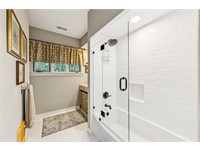 248 Spring Island Drive thumbnail image 22
