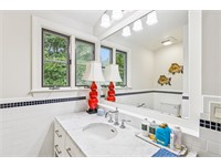 248 Spring Island Drive thumbnail image 25